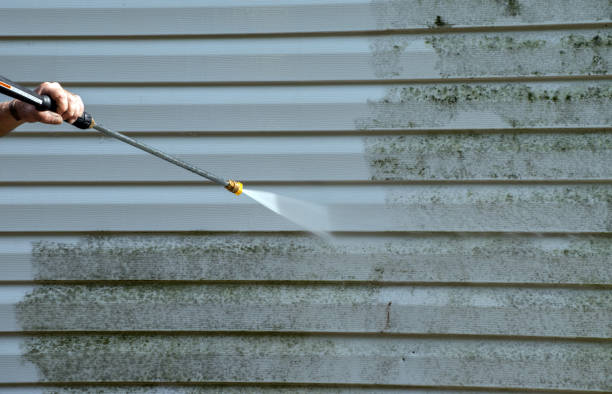 Best Solar Panel Cleaning  in Lansdowne, MD